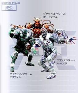 狼蛛Worm·绿/橘/白