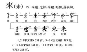 演变图