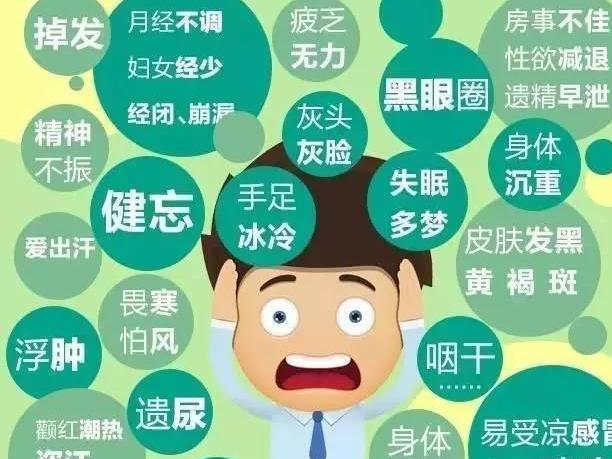 肾虚 搜狗百科