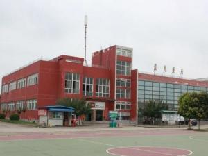 电子科技大学成都学院