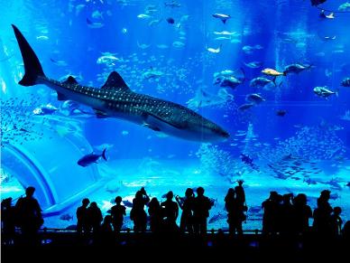 水族馆
