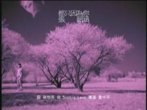 都只因为你mvt