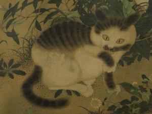狸奴