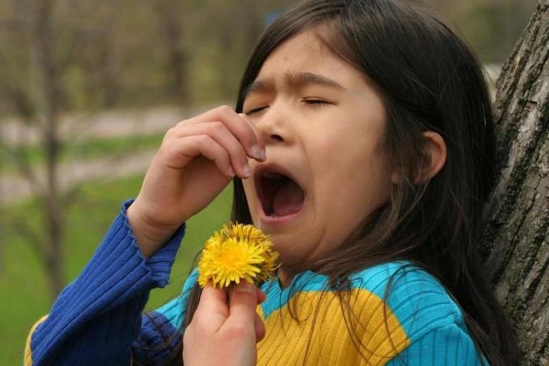 花粉过敏 搜狗百科 花粉过敏 搜狗百科