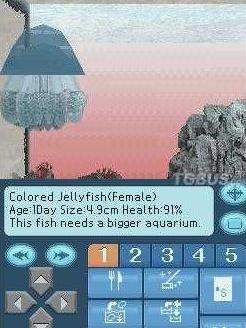 水族馆