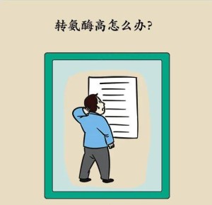 转氨酶偏高怎么办