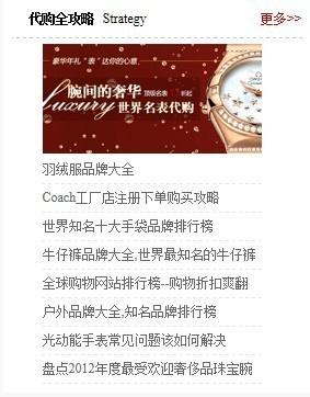 代购全攻略版块