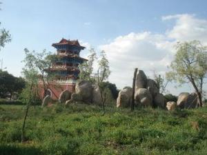 西枣行村 西枣行村