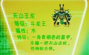 天山王龙