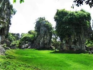 江州区石林美景