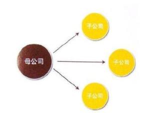 子公司