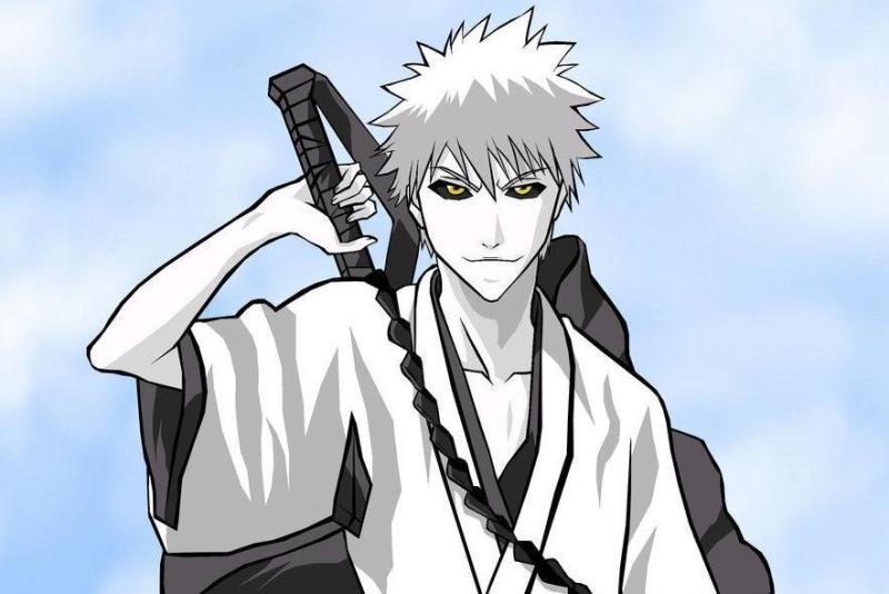 白一护 Bleach 中角色 搜狗百科 白一护 Bleach 中角色 搜狗百科
