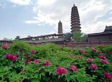 迎泽区
