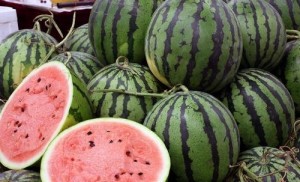 西瓜是什么科属植物 300