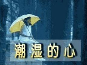 潮湿的心
