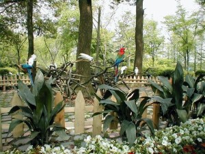 鹦鹉展区