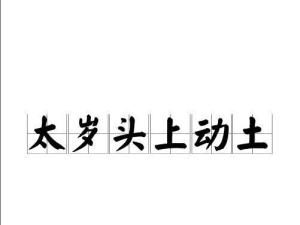 太岁头上动土