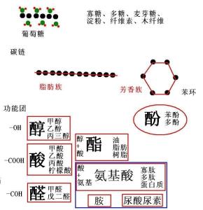 生物质种类