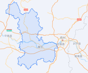 广西藤县各乡镇地图图片