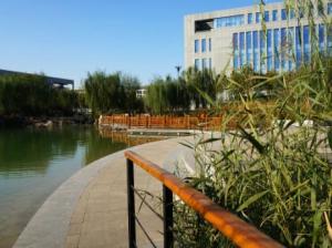 河北师范大学