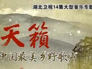 专题类纪录片
