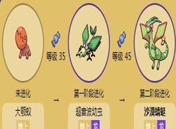 大颚蚁进化图鉴