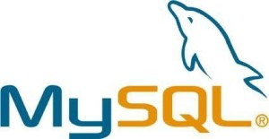 MySQL 标志