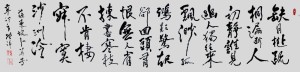寂寞沙洲冷