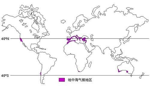 在地中海沿岸地区,形成世界上特殊的农业区.