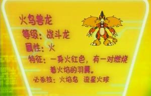 火鸟兽龙