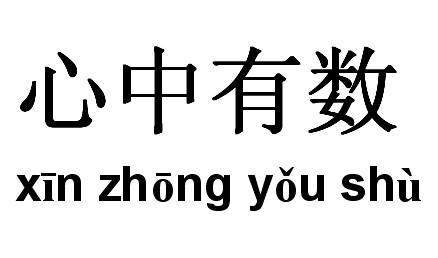 心中有数