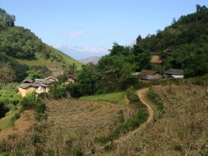 什么是行政村和自然村 300