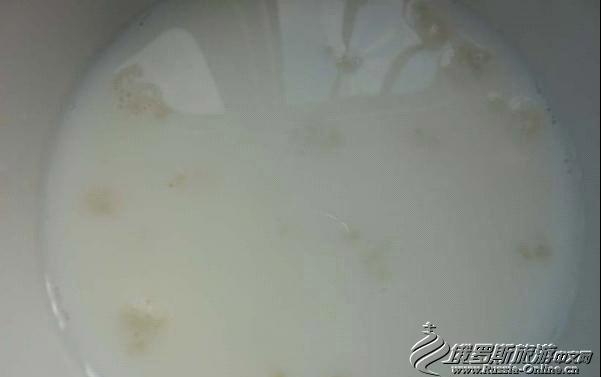 开菲尔酸奶