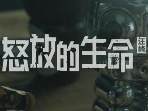 怒放的生命