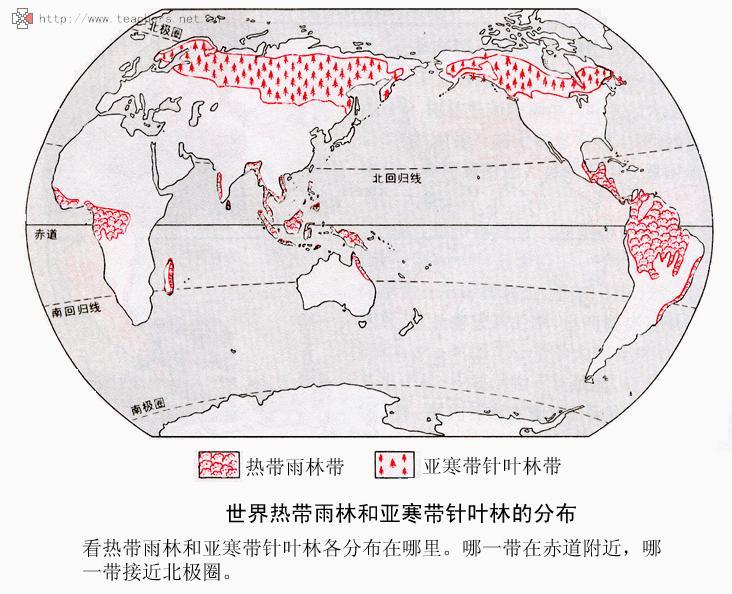 寒温带针叶林气候