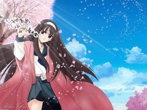 月姬