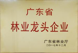 广东省林业龙头企业
