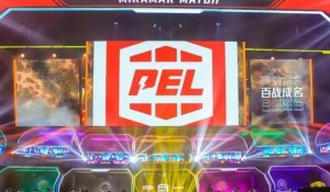 PEL 和平精英职业联赛