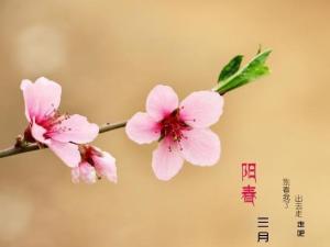 阳春三月