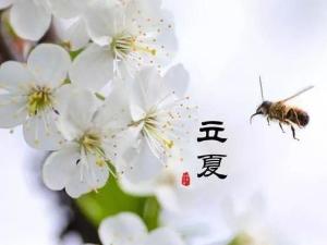 立夏
