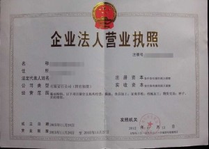 企业营业执照