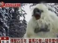 雪怪（雪怪）