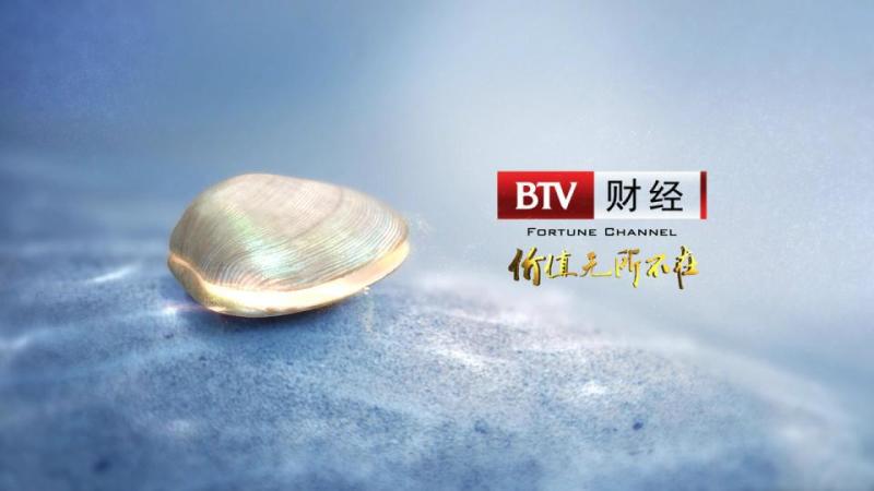 北京广播电视台财经频道ID
