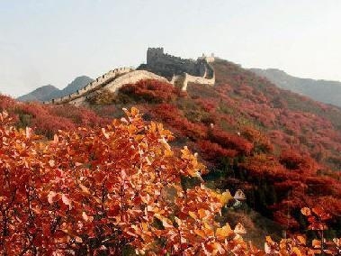 八大处公园