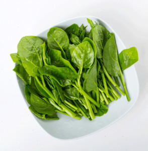 木耳菜