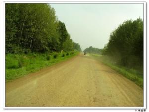 公路绿化
