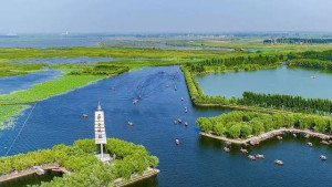 白洋淀风景区