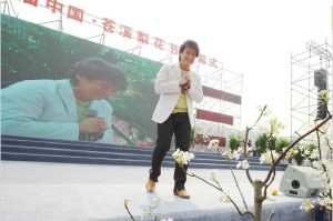 苍溪梨花节