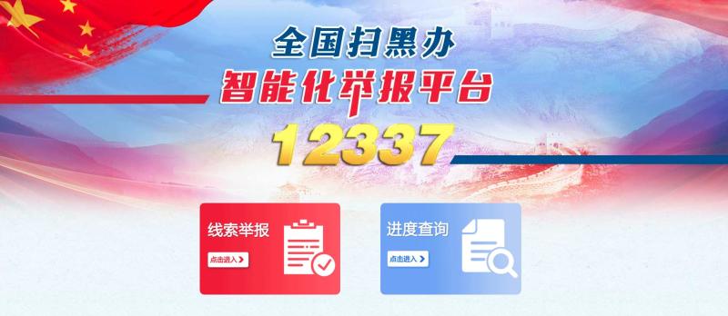 全国扫黑办智能化举报平台
