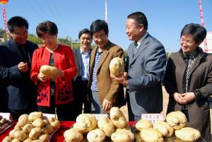 科斯定理的经济分析